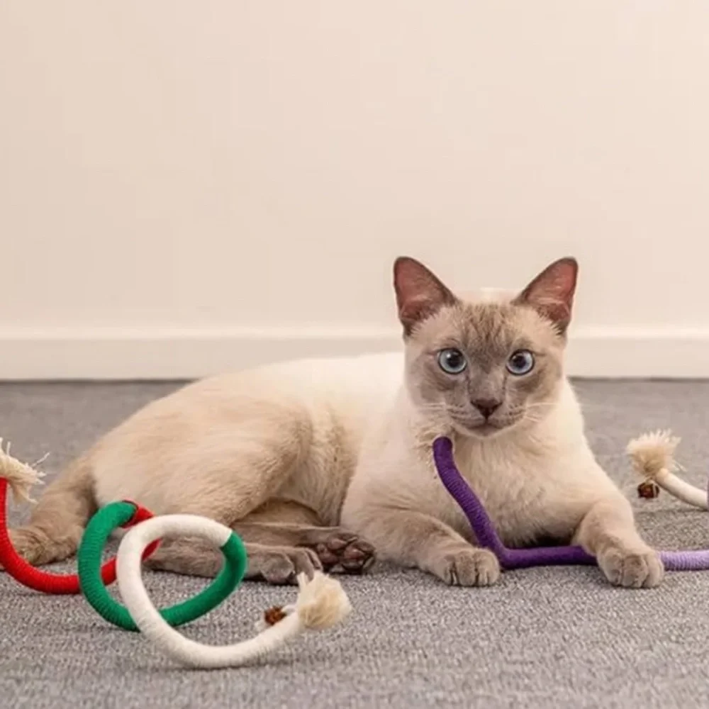Colorful Cat Play Toys